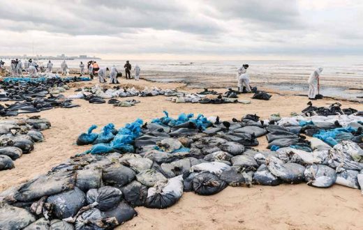 Volunteers rescueing seabirds and cleaning up the beach near the city of Anapa after the December 2024 Black Sea oil spill from sunken tankers. The oil spill revived temporary cooperation between authorities and environmental actors. PHOTO: SHUTTERSTOCK